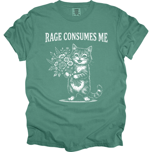 New Rage Comsumes Me